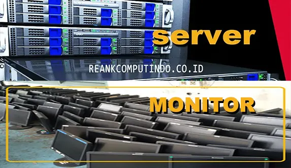 server-dan-monitor